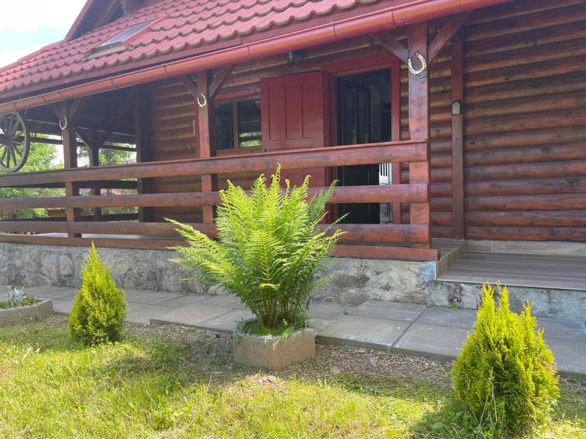 Cabana Transilvania Beliş Exteriér fotografie