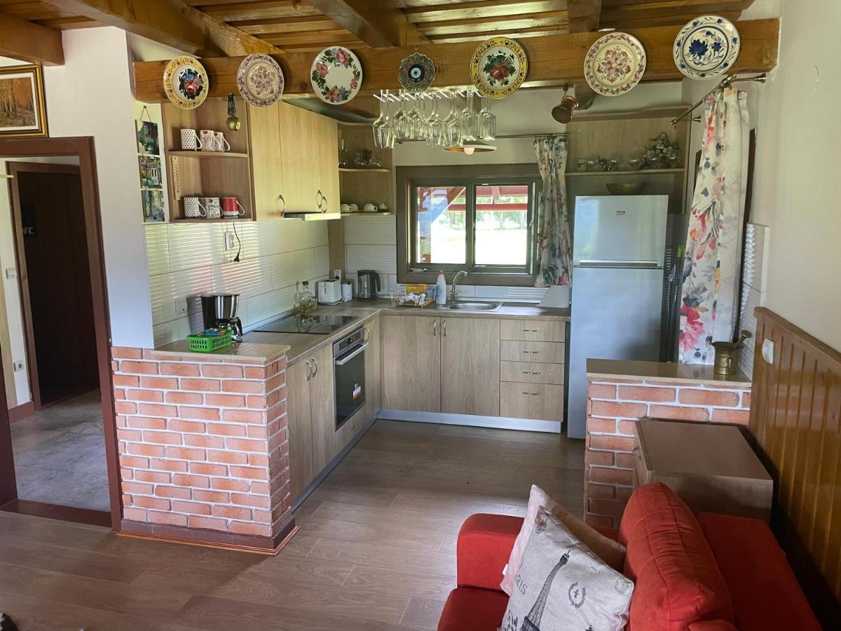 Cabana Transilvania Beliş Exteriér fotografie
