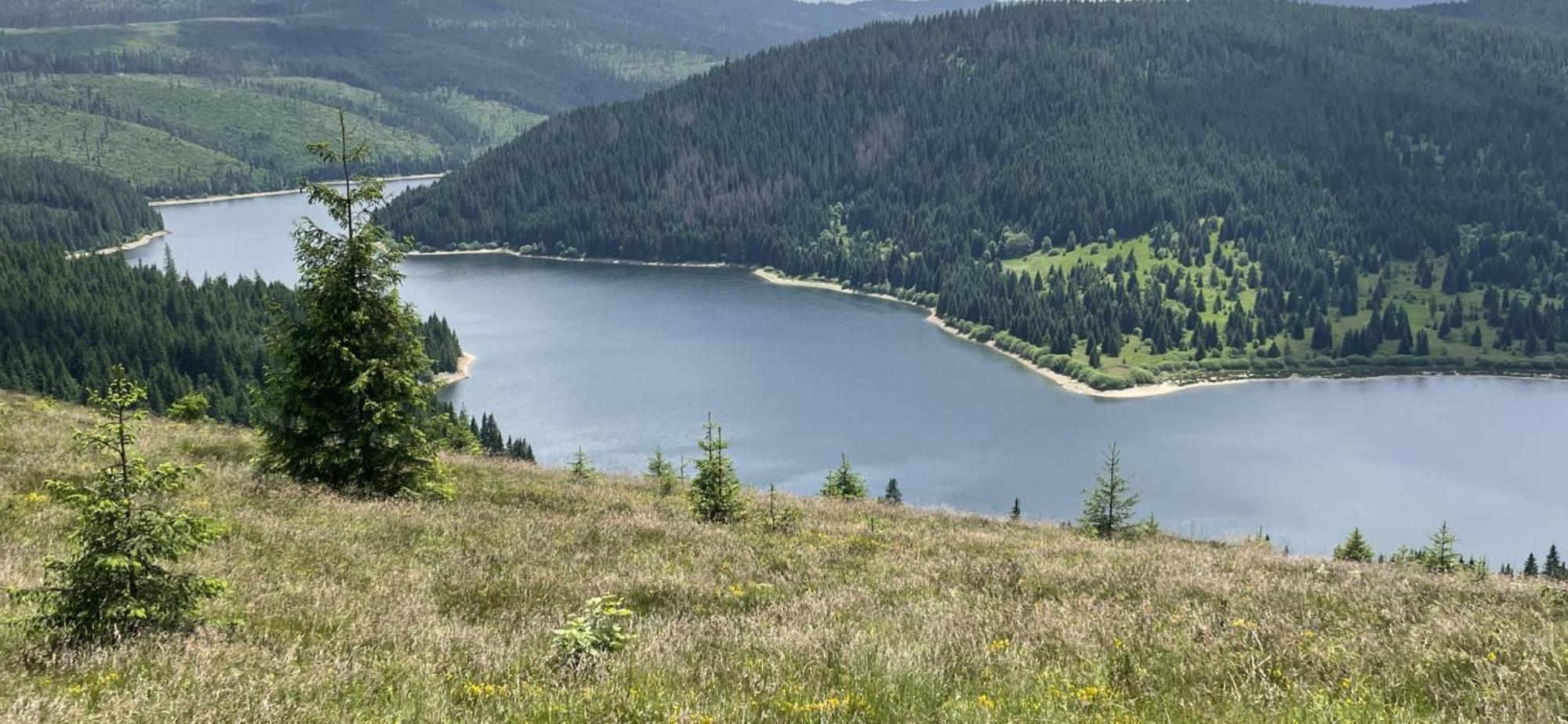 Cabana Transilvania Beliş Exteriér fotografie