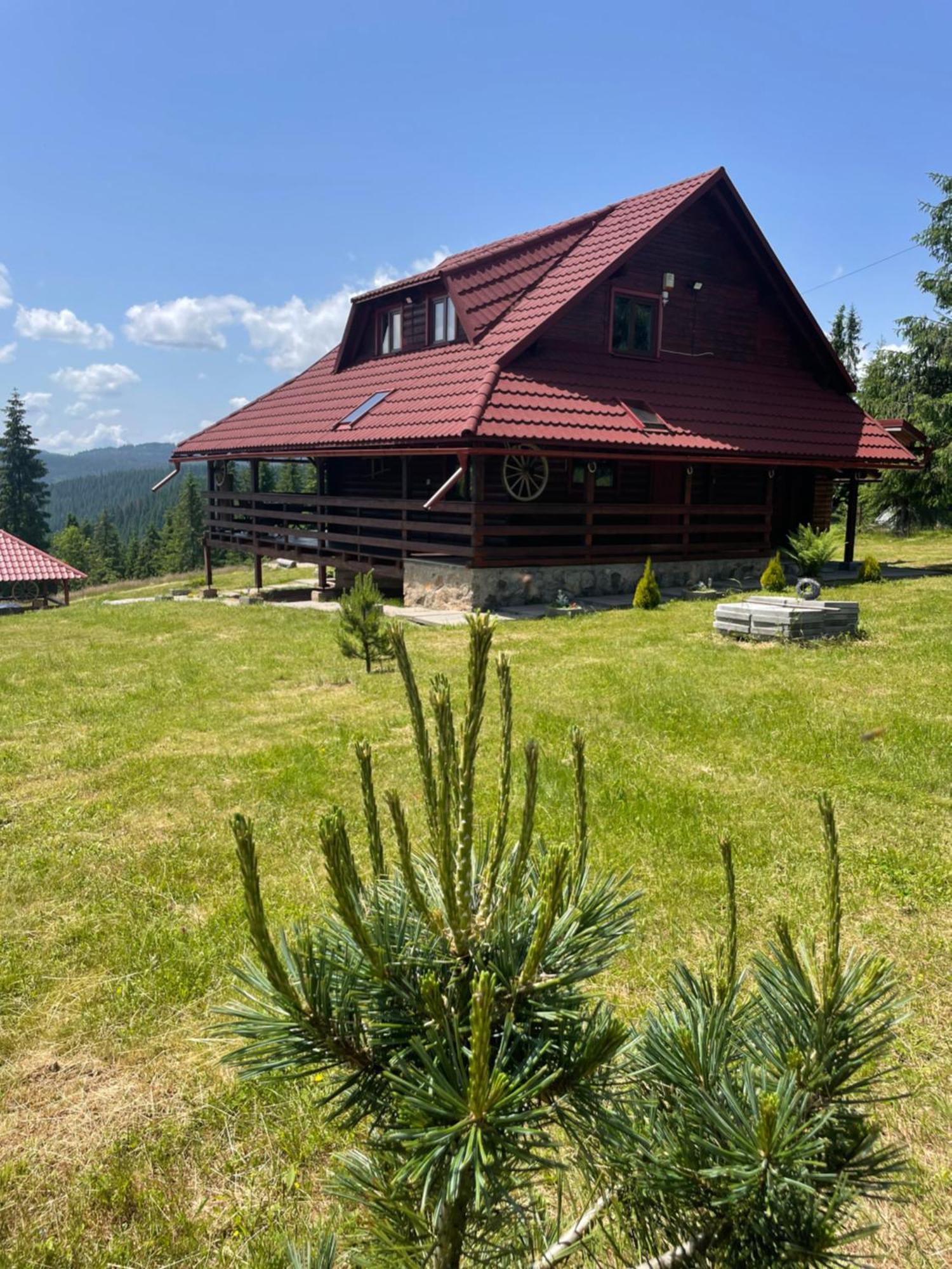 Cabana Transilvania Beliş Exteriér fotografie